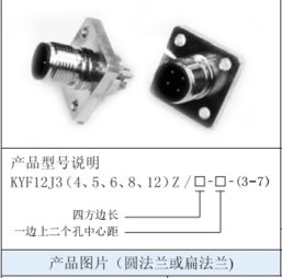 連接未來 上海與連接器的協同進化